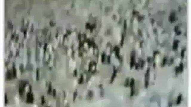 Mecca Angel on Kaba...Ангелы В Мекке смотреть онлайн