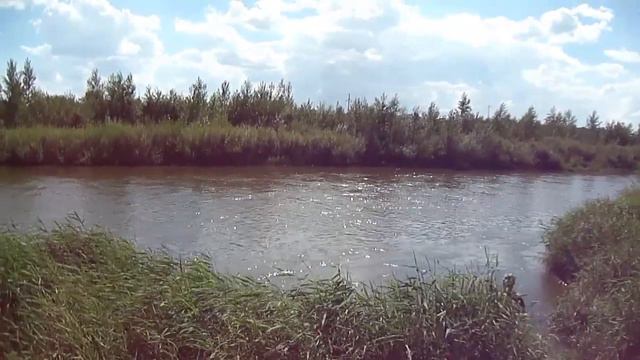 Соль-Илецк!!! Жарим шашлык возле р.Илек!!! 5 августа 2017 год. смотреть онлайн