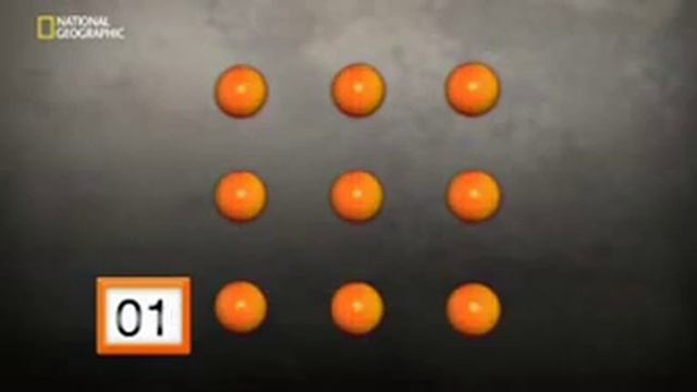 Игра о шариках / Использовать или потерять / Игры разума / National Geographic смотреть онлайн