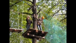 Панда парк Сокольники