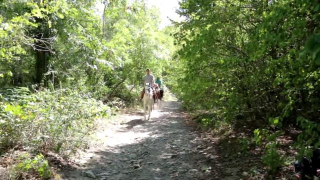 Прасковеевка. Конная прогулка с купанием в море на диком пляже смотреть онлайн