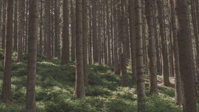 Жизнь как постоялый двор / Фернандо Пессоа смотреть онлайн
