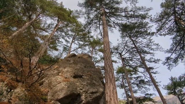 Боткинская тропа. Ялта 4 ноября 2023 года. смотреть онлайн