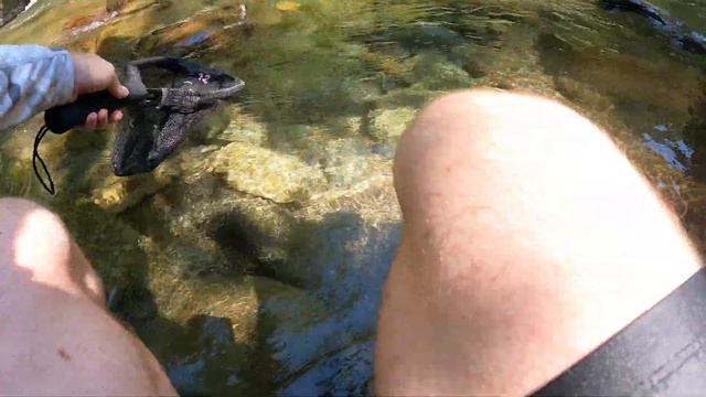 Это была отличная рыбалка, но спиннингист меня снова уделал смотреть онлайн