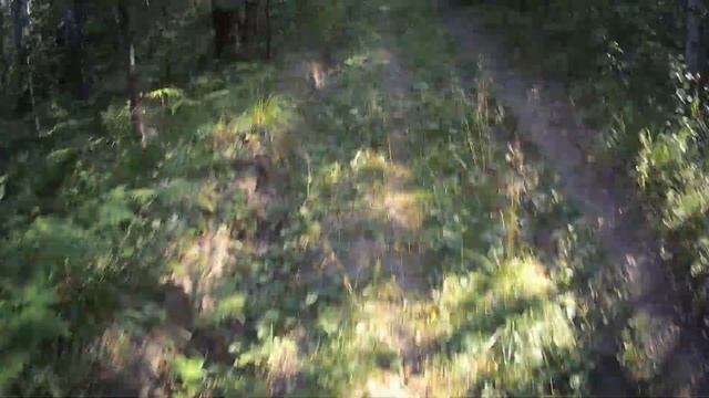 Прогулка по тропинкам. Камера на этот раз без аквабокса, звук совсем другой. :) смотреть онлайн