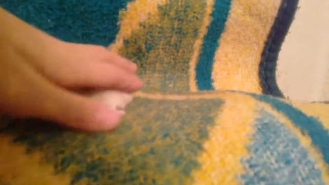 Если няша ставти лайк и подписку. Мой хомяк Бусинка грызёт одеяло😐!!!!!!!! смотреть онлайн