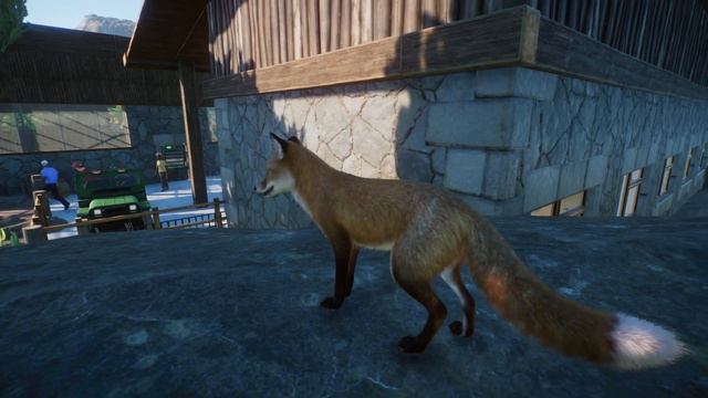 Planet Zoo (PC)(English) #139 8 Minutes of Red Fox (Twilight DLC) смотреть онлайн
