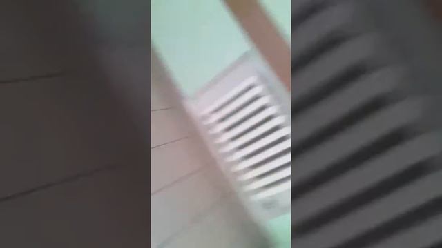 Голубь в школе смотреть онлайн