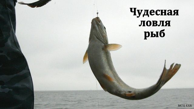 "Чудесная ловля рыб". Б. П. Антоненко. МСЦ ЕХБ смотреть онлайн
