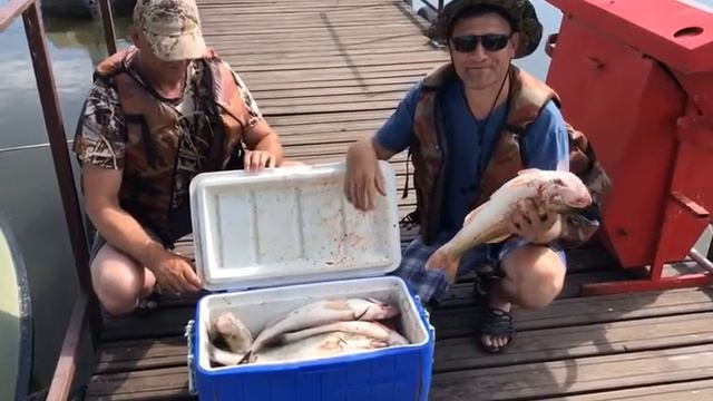 Приглашаем на рыболовную базу отдыха «ВЕРХНЕЛЕБЯЖЬЕ FISH RESORT» смотреть онлайн