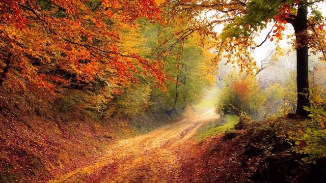 Meditation Music 🍀 Soothing Music,Rain and Native American Flute#8 смотреть онлайн