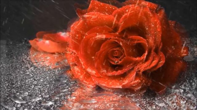 Красивая песня "Желаю Вам" Муз. Юрия Гуляева, сл. Роберта Рождественского смотреть онлайн