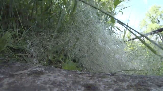 Разведал лесное озеро! Рыбачу на поплавочное удилище! смотреть онлайн