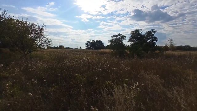 Продаётся участок в Белгородской области, Корочанский р-н, с Дальняя Игуменка смотреть онлайн