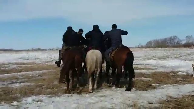 СКО Жамбылский район благовещенка кокпар 2019 смотреть онлайн