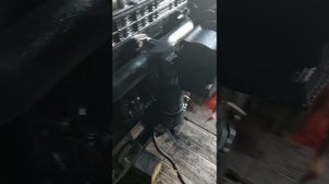 Д-245.35Е4. Переделан на евро 2