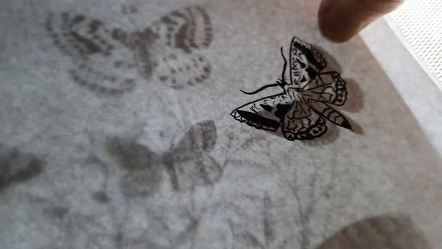 Tracing butterflies смотреть онлайн
