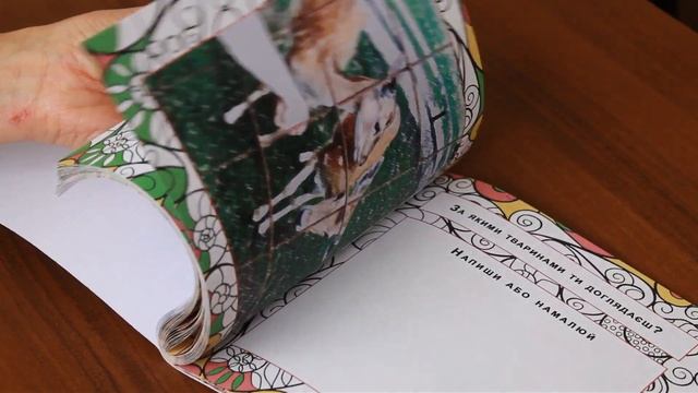 Презентация новой книги "В контакте с ребёнком" смотреть онлайн