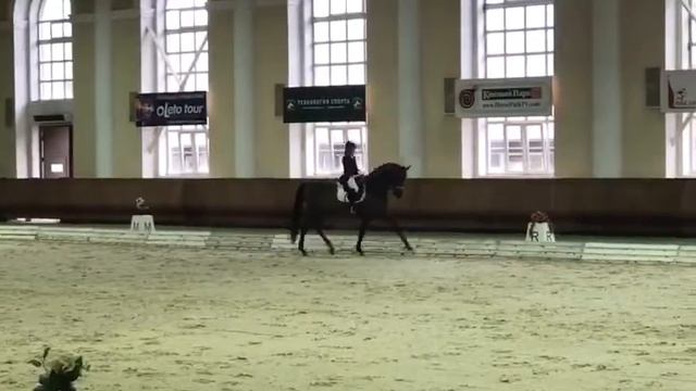 УВП мерин продажа смотреть онлайн