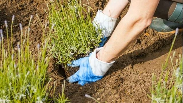 Готовка в Кемпинге и на Походах