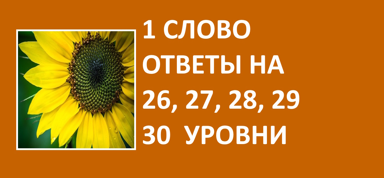 Игра 1 слово ответы на 26, 27, 28, 29, 30 уровни смотреть онлайн