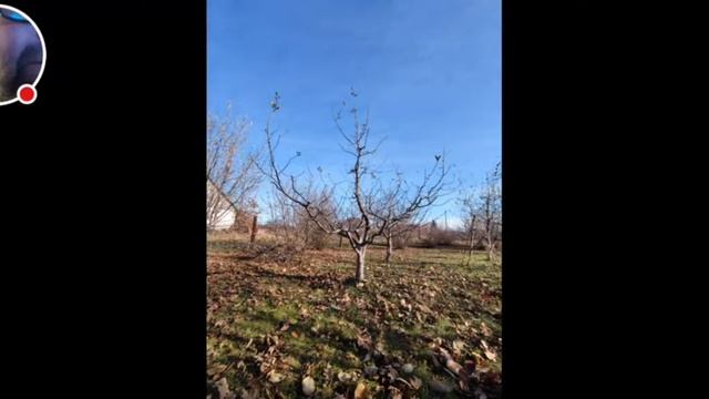 Красивые Сады смотреть онлайн