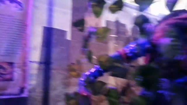 Выставка Драконов Ожившие Гиганты г. Уральск | Как приучить Дракона от Life of little Alisa смотреть онлайн