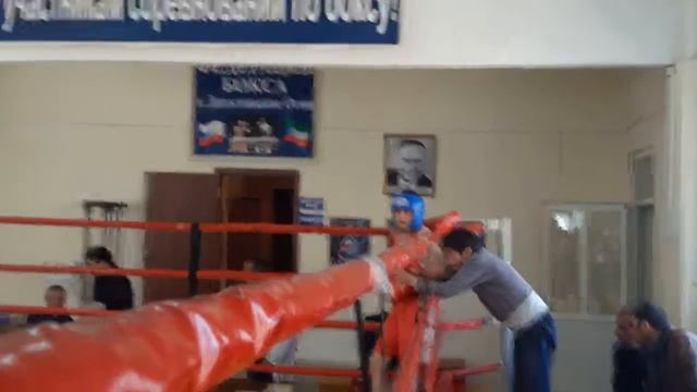 Бокс Громила Хаджимурад 9.04.17г. смотреть онлайн