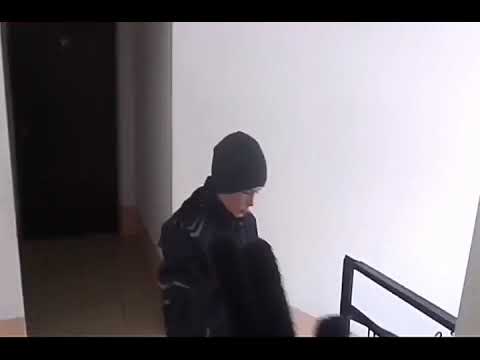 Новая Миссия В Крайзисе [Zatriz 2020] смотреть онлайн