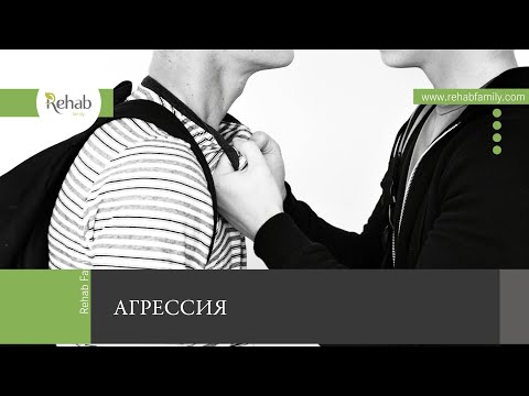 Агрессия | Причины | Факторы возникновения | Формы проявления | Последствия | Как избавиться