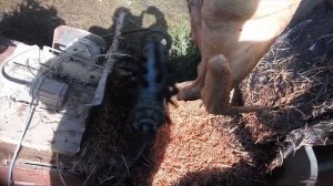 Жизнь в деревне. Перосъемная машина своими руками. Как легко и быстро ощипать птицу.