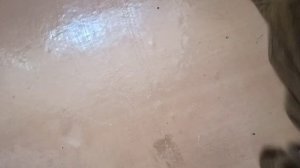 Честный обзор на Пароочиститель Karcher SC 2 | Попытка им что-то отмыть, почистить