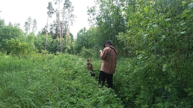 Фотосессия в лесу. Обзор и тест объектива TTartisan 35mm F/1.4 смотреть онлайн