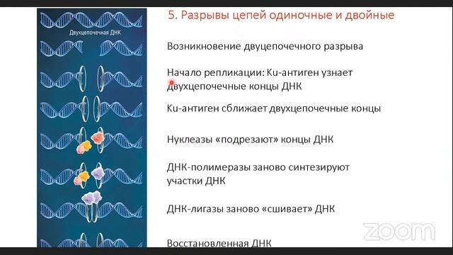 Л10 леч/пед 1 курс смотреть онлайн