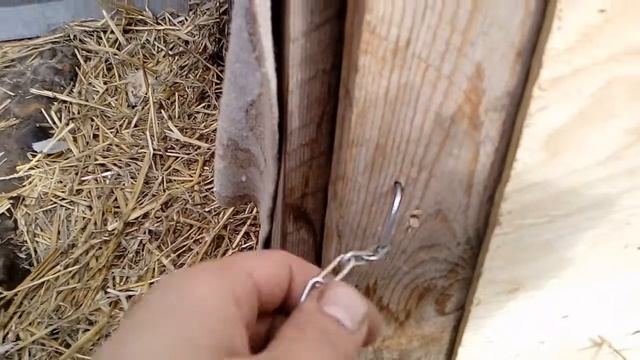 ИНСТРУКЦИЯ Как приручить собаку смотреть онлайн