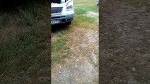 Установка вакуумника от Тойоты на ГАЗель