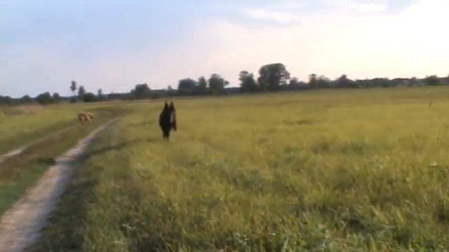 Sequence 01 3 смотреть онлайн