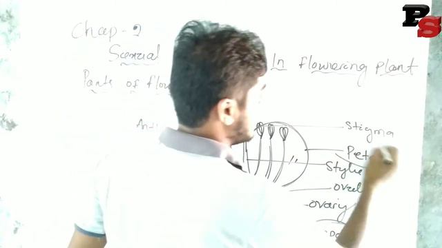 SEXUAL REPRODUCTION IN FLOWERING PLANTS IN ODIA (Part 1) | STRUCTURE OF FLOWERS | BY PRADEEP SIR смотреть онлайн
