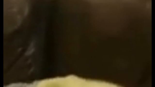 Dog in Heat смотреть онлайн