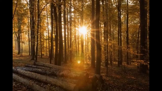 И-цзин. Введение 1. Что такое Книга перемен. Зачем она нужна. смотреть онлайн