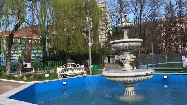 Любимая Хоста весной ? #сочисегодня #хоста