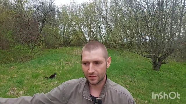 Почему кроликам нельзя свежую траву смотреть онлайн