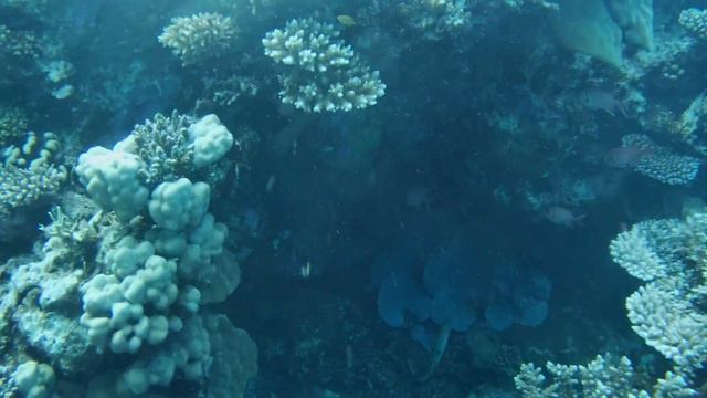 Хургада NORM0243 смотреть онлайн