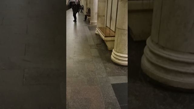 Павелецкая. Кольцевая