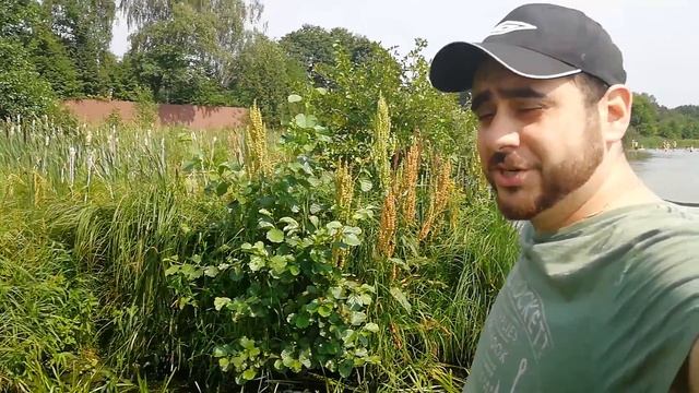 Мы добились ликвидации сливной трубы, которая выходила из участка в озеро Бисерово смотреть онлайн