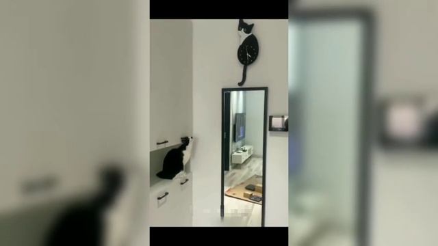 Best Funny Animal Videos Of The 2023 ? - Funniest Cats And Dogs Videos ?? fcats смотреть онлайн