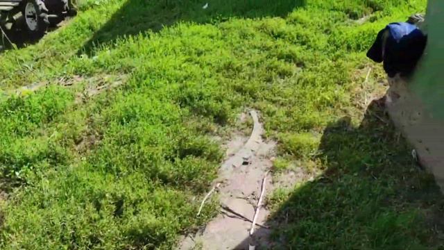 Капустная неделя началась//дел много, а нас двое смотреть онлайн