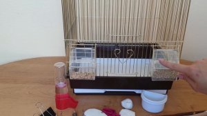 Что должно быть в клетке у попугая || Как выбрать клетку для попугая