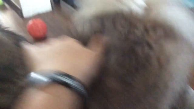 Отвечаю на ваши вопросы смотреть онлайн