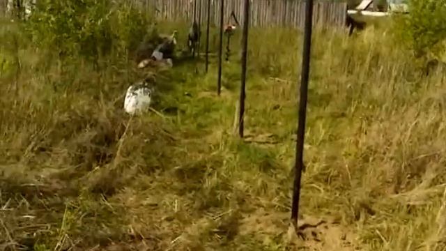 бензобур для ям под столбы забора-Oleo-Mac.Бензобур смотреть онлайн